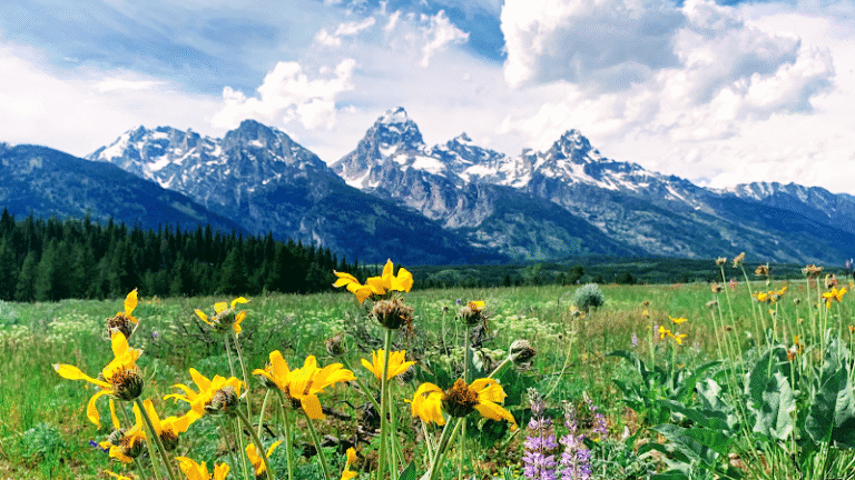 10030 d6a2c5a57081 768x432