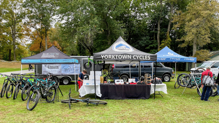 10089 6f1ca11a5f26 768x432