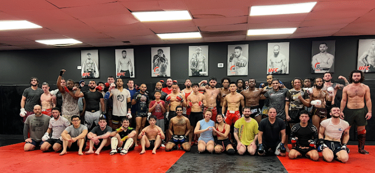 12089 a9913d973d7a 768x355