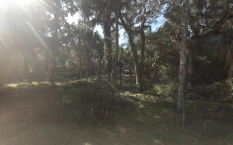 12191 de08b3e77dd2 768x480