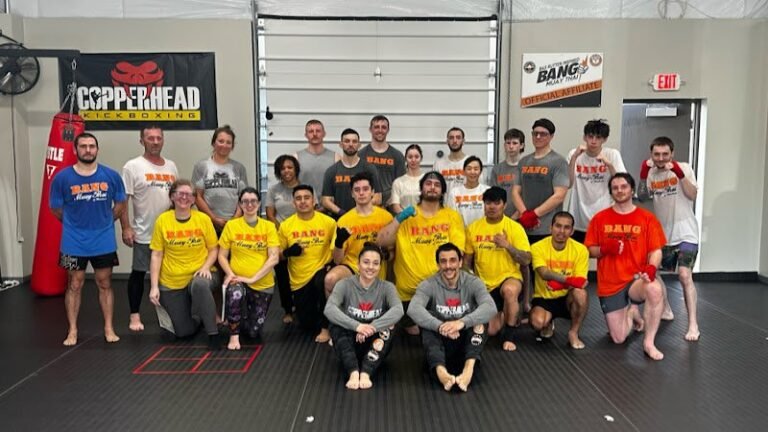 13361 7e11303c186d 768x432