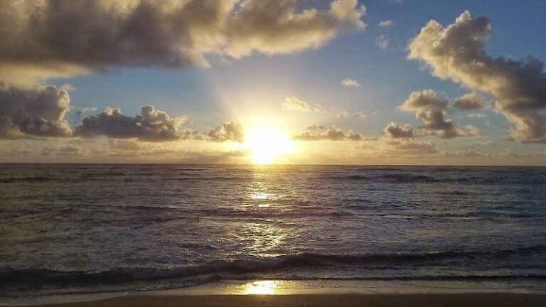 14781 c747cb958d57 768x432