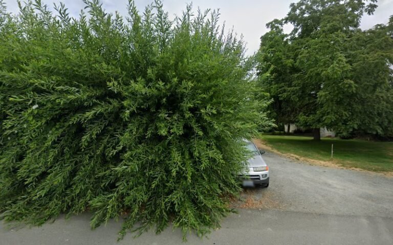 1502 6c58b69f7beb 768x480