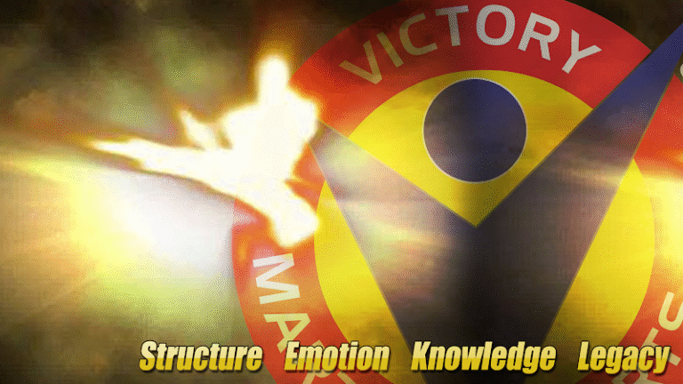 15309 29b7888684f9 768x432