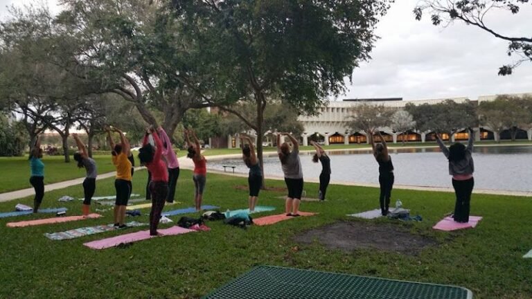 17172 9e1113876426 768x432