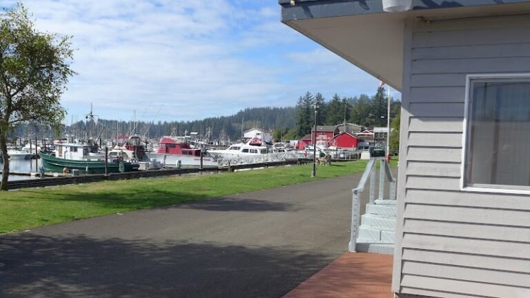 2811 042706421deb 768x432