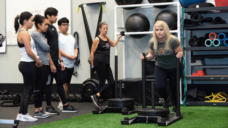 3031 ee127db9e89b 768x433