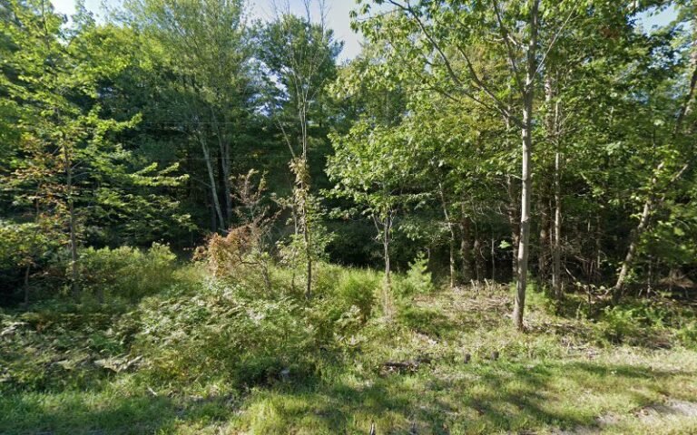 3252 3eed914ff65f 768x480