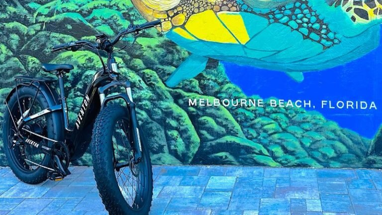 3905 878373a2ad6c 768x432