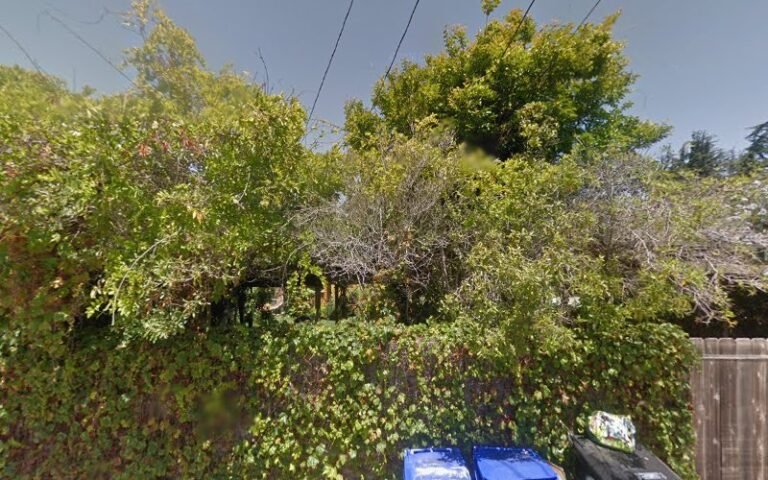 5382 6035747bed79 768x480