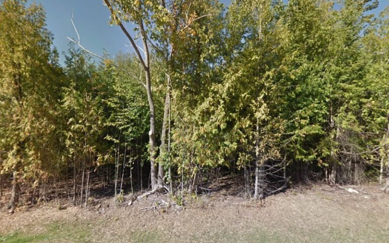 5404 384ec79e83e4 768x480