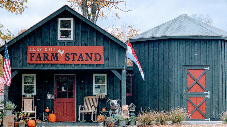 6454 2b96c384494a 768x432